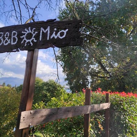 B&B Sole Mio Velletri Bagian luar foto