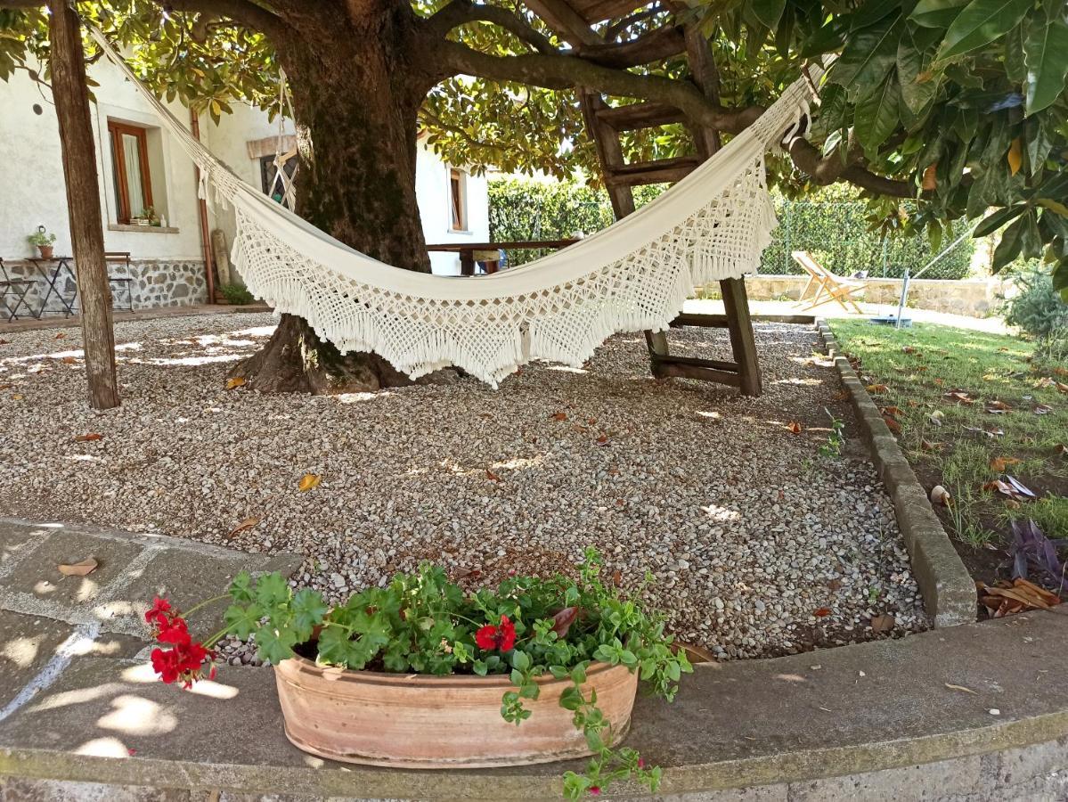 B&B Sole Mio Velletri Bagian luar foto