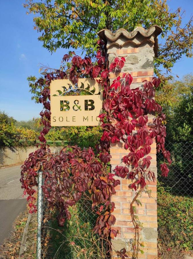 B&B Sole Mio Velletri Bagian luar foto